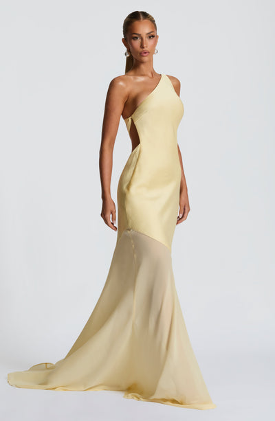 Carmen -  One-Shoulder Mesh Gown